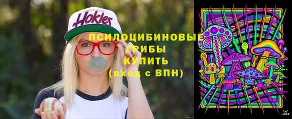 ПСИЛОЦИБИНОВЫЕ ГРИБЫ Магадан