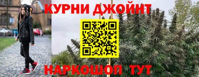 гидра Бийск