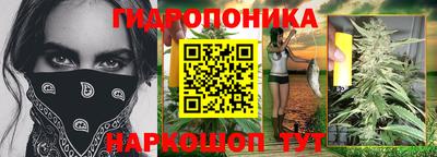 гидра Бийск