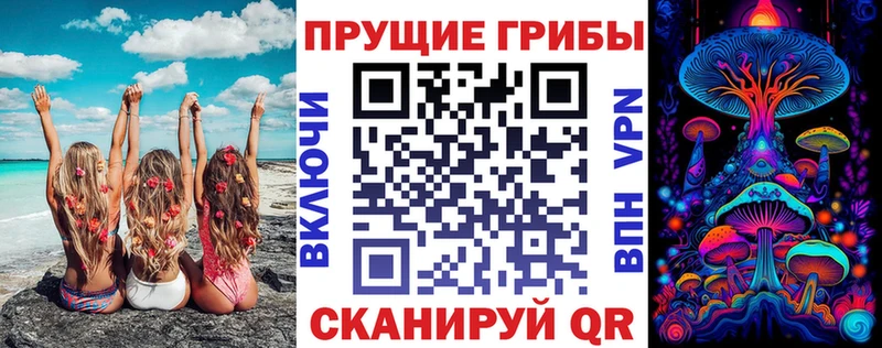 Галлюциногенные грибы Psilocybe  гидра маркетплейс  Дальнереченск 