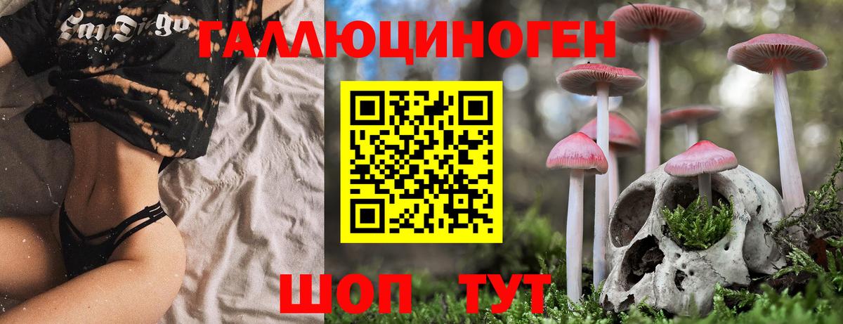 Псилоцибиновые грибы GOLDEN TEACHER  Дальнереченск  Галлюциногенные грибы MAGIC MUSHROOMS 