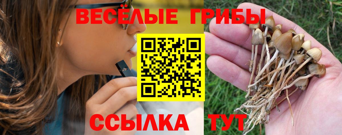 Псилоцибиновые грибы мухоморы Дальнереченск